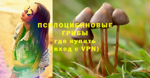дживик Алексеевка